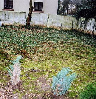 Sanierungsplanung - Jugendstilvilla - Frankfurt am Main